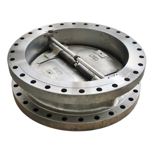 Dual Plate Check Valve